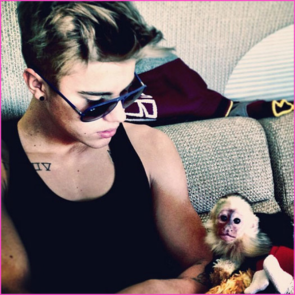 Justin Bieber si-a luat maimuta