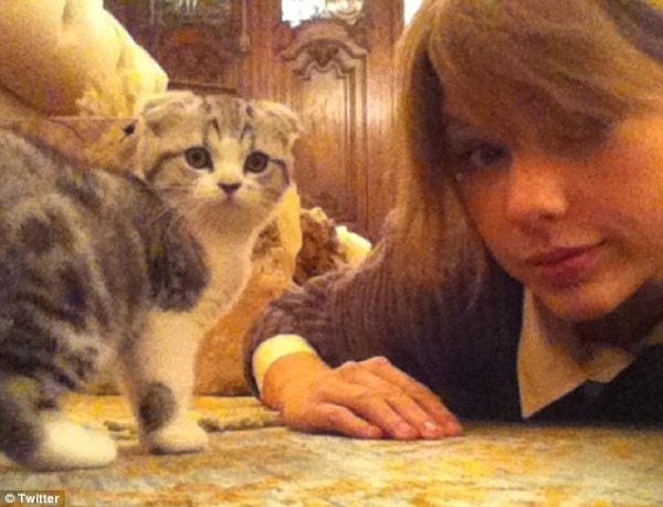 Meredith - Noul animalut de companie al cantaretei Taylor Swift