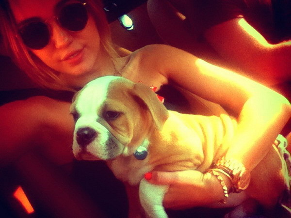 Miley Cyrus si catelul ei