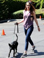 Kristen Stewart isi scoate catelul la plimbare