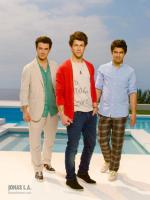 Jonas Brothers in serialul Jonas L.A.