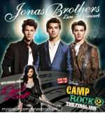 Jonas Brothers Live in concert alaturi de Demi Lovato