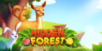 Joaca Hidden Forest!