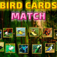 Birds Card Match