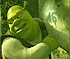 Gaseste Cifrele cu Shrek