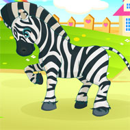 Inimitable Zebra