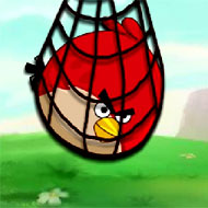 Surround Angry Bird