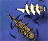 Treasure of Cutlass Reef