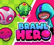 Brawl Hero