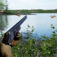 Duck Shooter Hunting