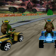 Ninja Turtles Race 3D