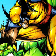 Photo Mess Wolverine vs Hulk